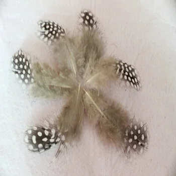 500pcs 5-10cm 10-a vopsit colorate se amestecă foarte natural, autentic pheasnt penaj pene pentru masca ambarcațiunile de bijuterii rochie de luare de vânzare în vrac