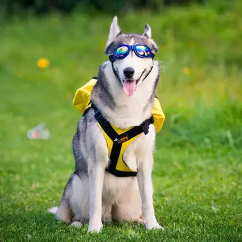 Câine de companie, genti Pachet Hound de Călătorie Camping Drumeții Rucsac Geantă de Șa pentru Mediu pentru Câini de talie Mare