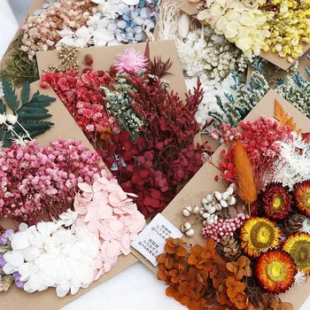 Pandantiv Colier Bijuterii de Luare de Artizanat DIY Accesorii Plante Uscate Lumanare Aromatherapy Rășină 1box de Flori Uscate de Material de Flori
