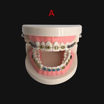 Dentare Îngrijire Orală Dinți Model Dentist Ortodontice Dintelui Model Demonstrativ Predare De Comunicare Medic-Pacient Rezultatele Arată